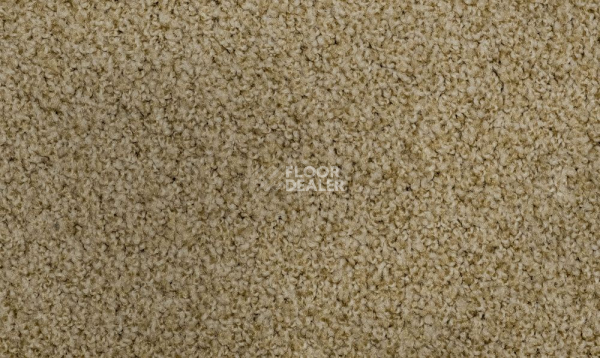 Ковролин Vorwerk Exclusive1009/Elara 8g82 фото 1 | FLOORDEALER